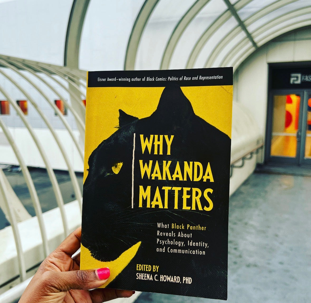 Why Wakanda Matters (Physical Book)