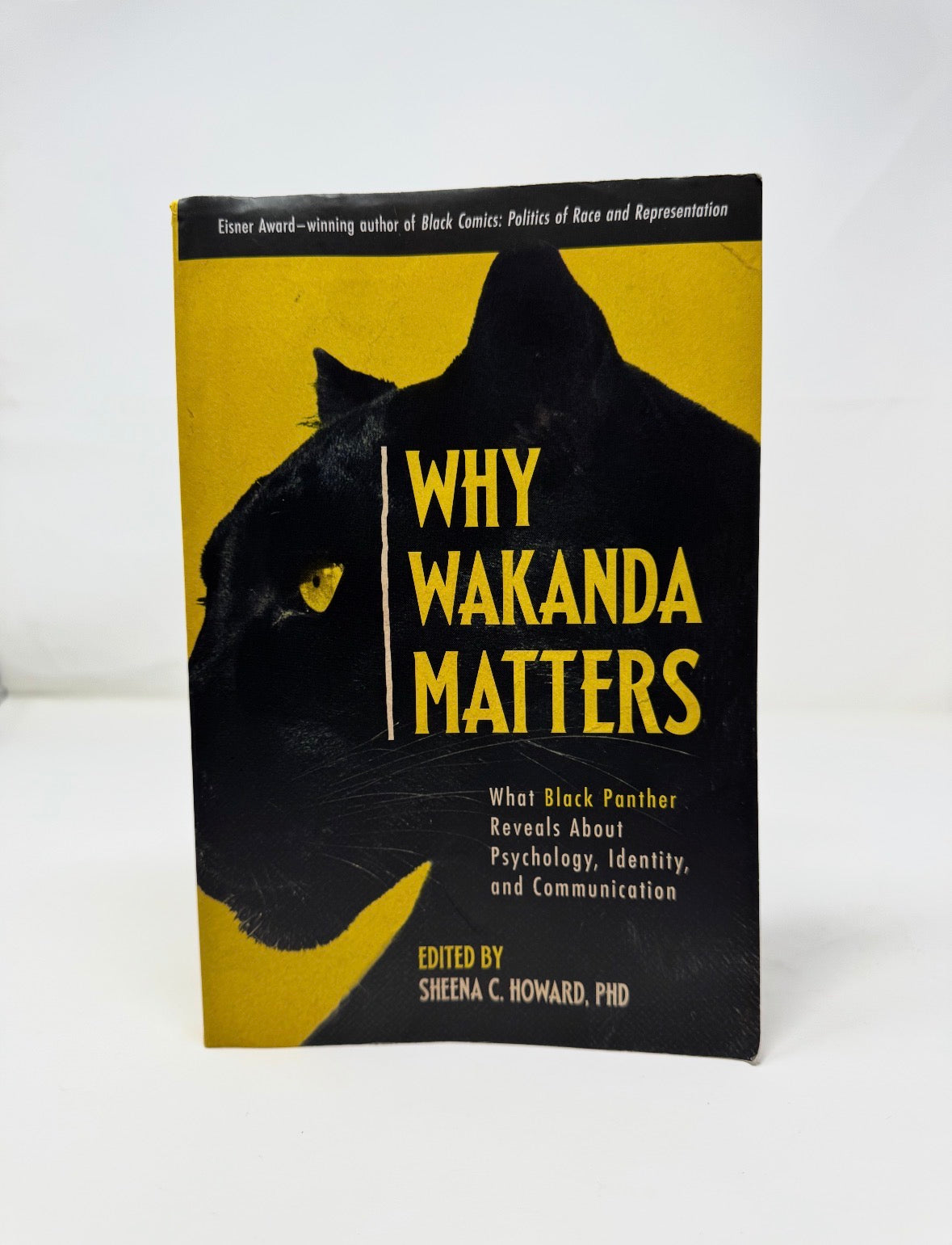 Why Wakanda Matters (Physical Book)