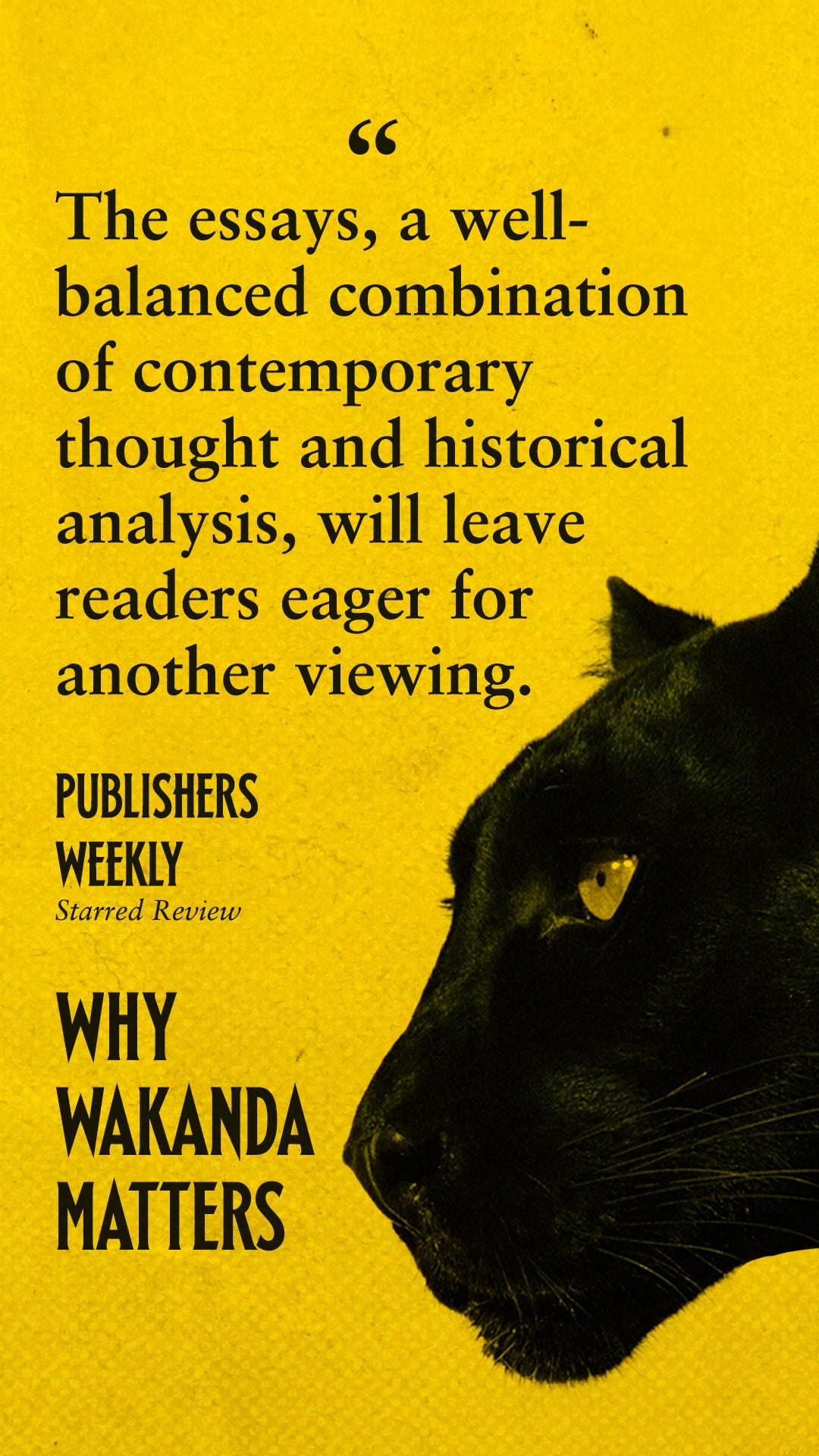 Why Wakanda Matters (Physical Book)